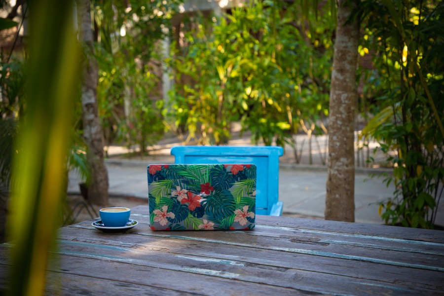 Digital nomad-tricky travellers
